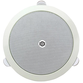 Динамик трансляционный SHOW CSL-6120, фото 